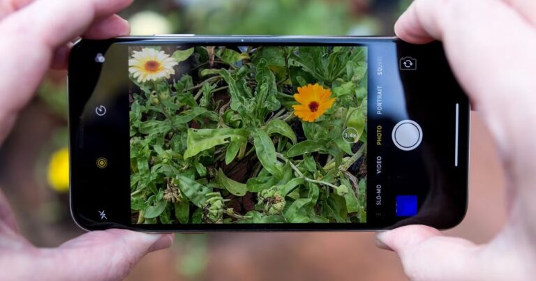 30 Tips and Tricks: How to Take Good Photos