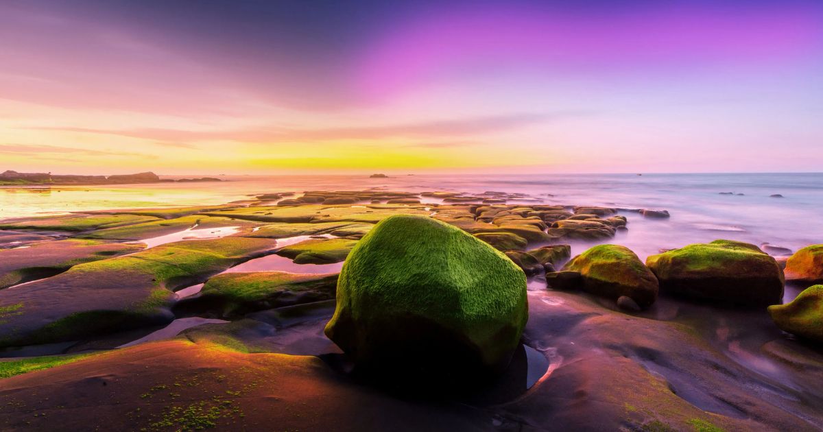 Top 14 Styles of Photo Editing You Must Try Yourself